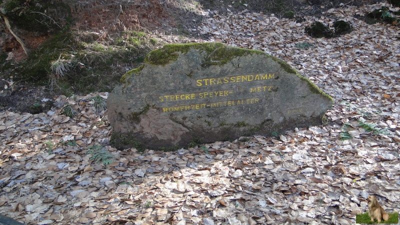 Ritterstein Nr. 246-3a Strassendamm - Strecke Speyer - Metz Römerzeit - Mittelalter.JPG - Ritterstein Nr.246 Strassendamm - Strecke Speyer - Metz Römerzeit - Mittelalter